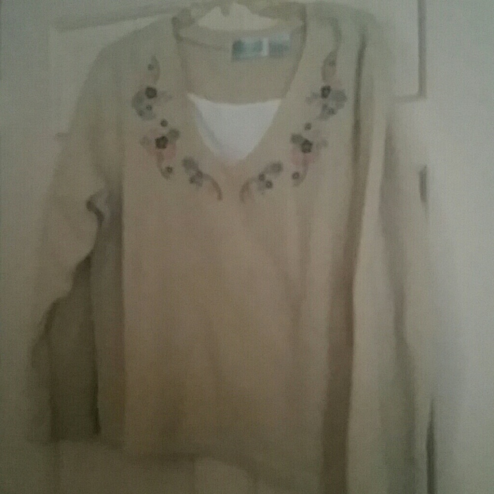 Shenanigans Tan Long Sleeve Top Size L